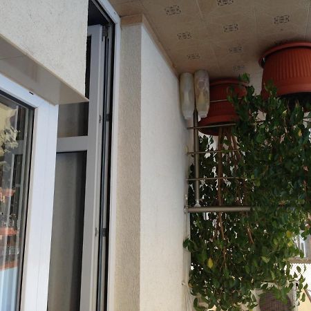 Zoya Guest House Ravda Exterior foto